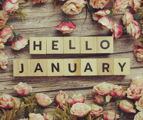 hello january in blocks, laying on a wood table surrounded by white and pink colored roses